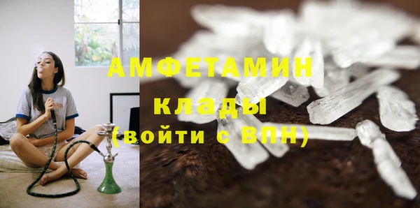 индика Нея