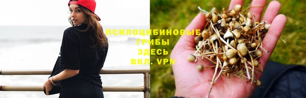дживик Нефтегорск