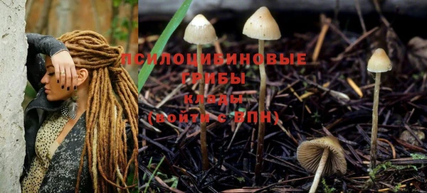 MESCALINE Новокубанск