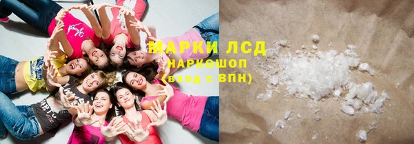 ГАЛЛЮЦИНОГЕННЫЕ ГРИБЫ Новозыбков