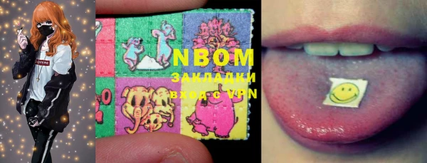 индика Нея