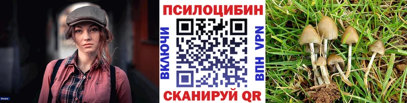 где продают   Новороссийск  Псилоцибиновые грибы GOLDEN TEACHER 