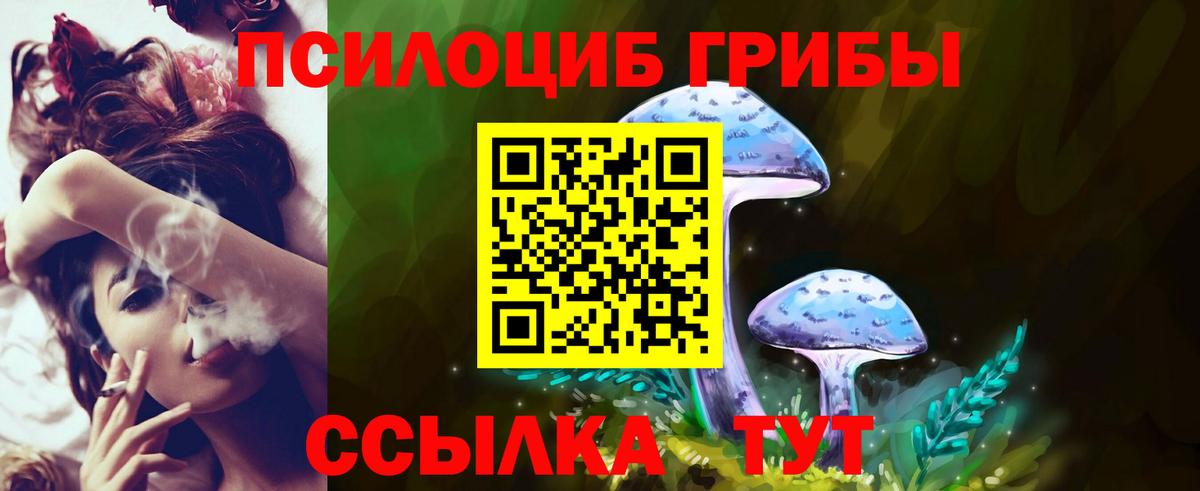 Галлюциногенные грибы GOLDEN TEACHER Новороссийск